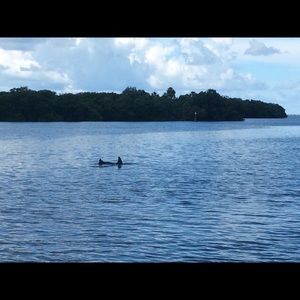 Meet your Posher, Kevin